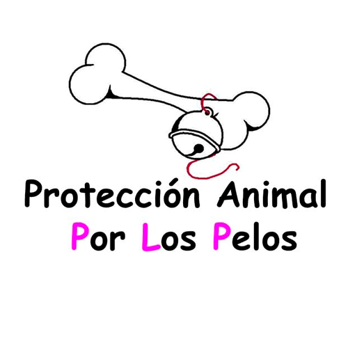 Protección Animal Por Los Pelos