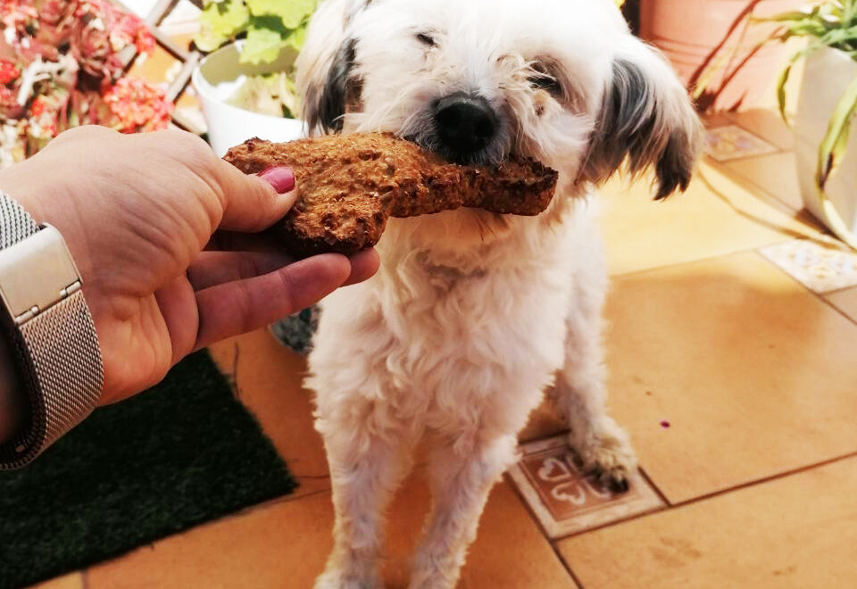 Receta de galletas caseras para perros con forma de hueso
